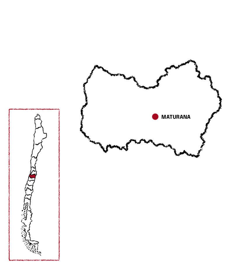 BODEGA-MAPA-MATURANA