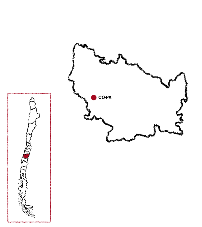 MAPA5 CO·PA