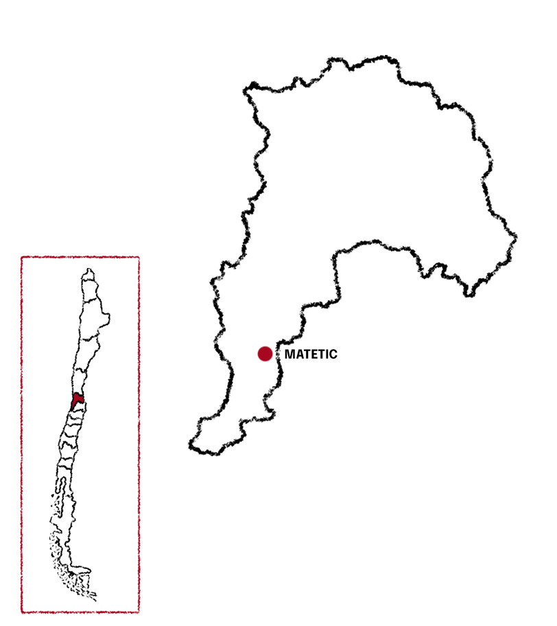 bodega-MAPA-MATETIC(1)